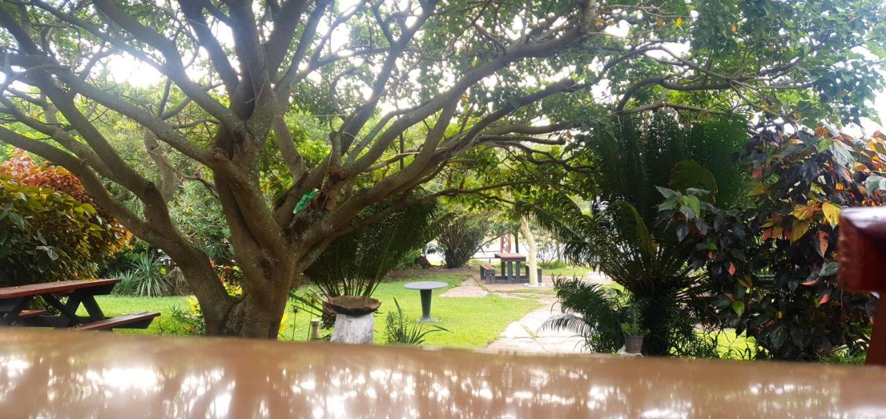Sunset Bed And Breakfast คอฟฟีเบย์ ภายนอก รูปภาพ